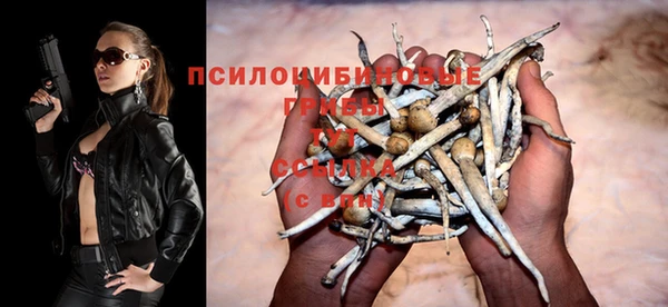 spice Баксан