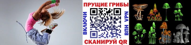 Псилоцибиновые грибы мицелий Купить где Ермолино
