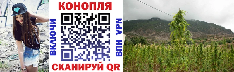 Купить закладки  Ермолино  Каннабис индика 